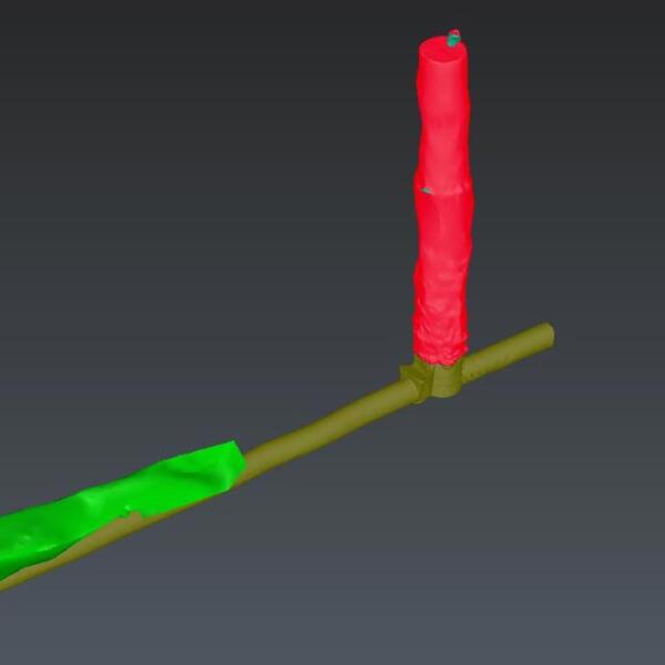 Laser Scanning, Warrnambool - 3D Model