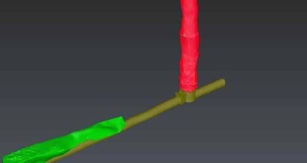 Laser Scanning, Warrnambool - 3D Model