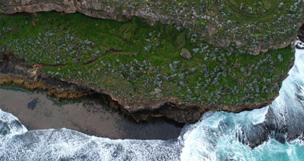 Coastal Cliff Land Survey, Allansford