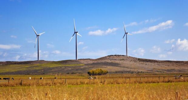 Windfarm
